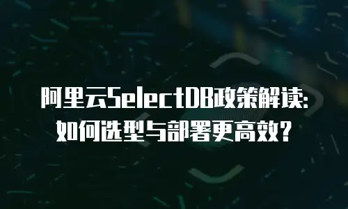 阿里云SelectDB政策解读：如何选型与部署更高效？