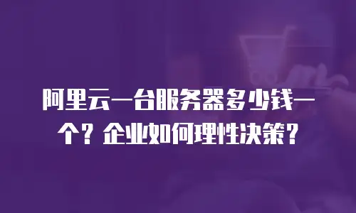 阿里云一台服务器多少钱一个？企业如何理性决策？