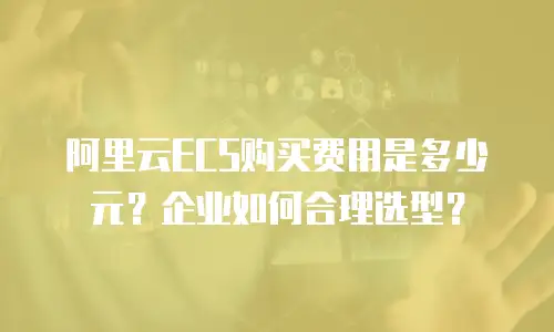 阿里云ECS购买费用是多少元？企业如何合理选型？