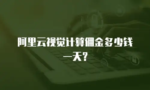 阿里云视觉计算佣金多少钱一天？