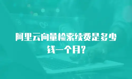阿里云向量检索续费是多少钱一个月？