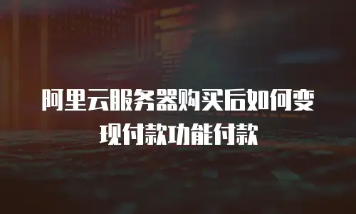 阿里云服务器购买后如何变现付款功能付款
