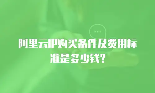 阿里云IP购买条件及费用标准是多少钱？