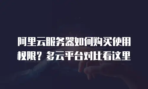 阿里云服务器如何购买使用权限？多云平台对比看这里