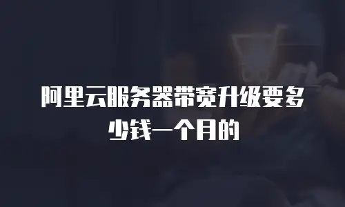 阿里云服务器带宽升级要多少钱一个月的
