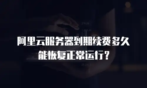 阿里云服务器到期续费多久能恢复正常运行？