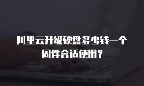 阿里云升级硬盘多少钱一个固件合适使用？