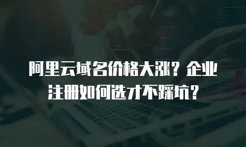 阿里云域名价格大涨？企业注册如何选才不踩坑？