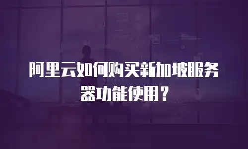 阿里云如何购买新加坡服务器功能使用？