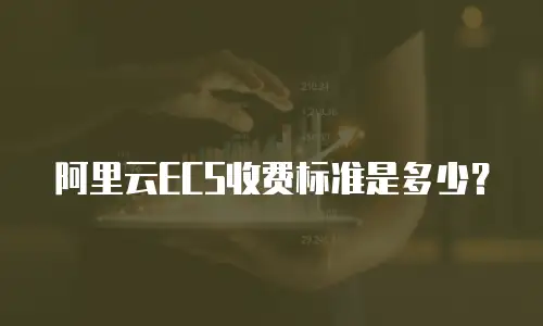 阿里云ECS收费标准是多少？