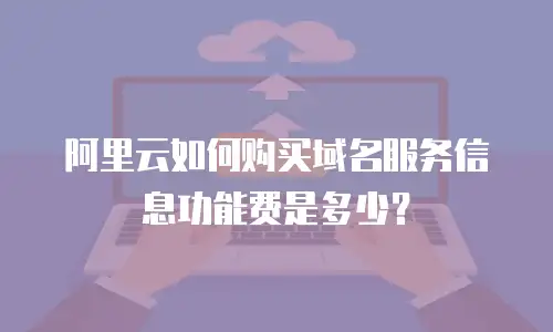 阿里云如何购买域名服务信息功能费是多少？