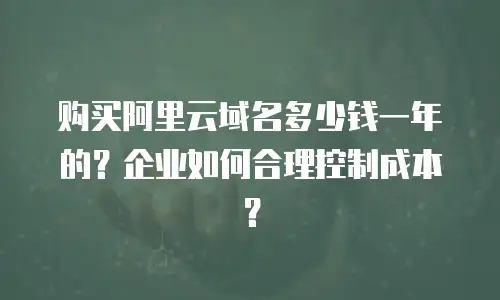 购买阿里云域名多少钱一年的？企业如何合理控制成本？