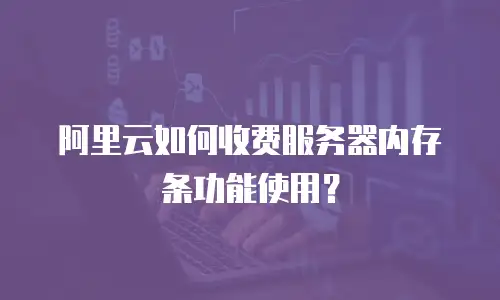 阿里云如何收费服务器内存条功能使用？
