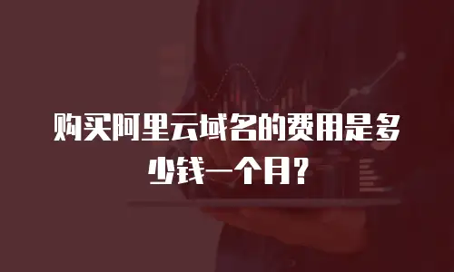 购买阿里云域名的费用是多少钱一个月？