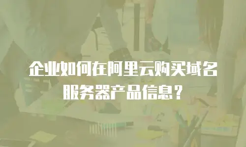 企业如何在阿里云购买域名服务器产品信息？