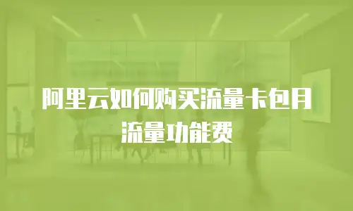 阿里云如何购买流量卡包月流量功能费