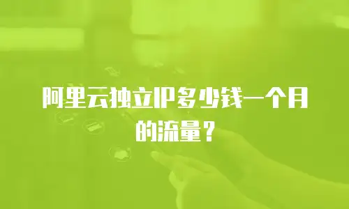 阿里云独立IP多少钱一个月的流量？