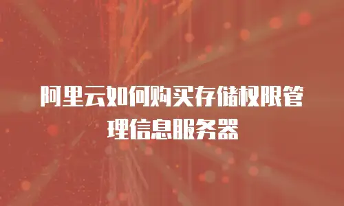 阿里云如何购买存储权限管理信息服务器