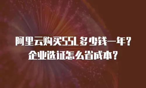 阿里云购买SSL多少钱一年？企业选证怎么省成本？