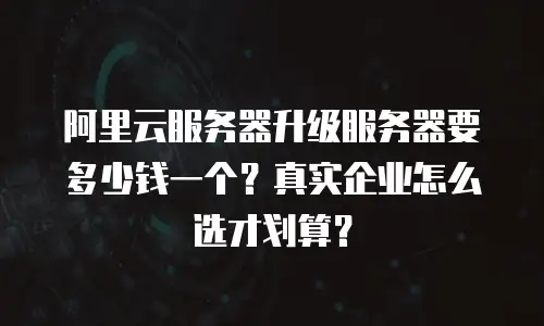 阿里云服务器升级服务器要多少钱一个？真实企业怎么选才划算？