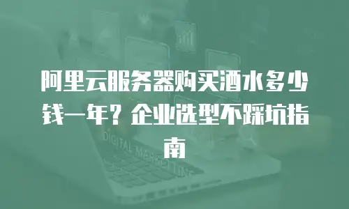 阿里云服务器购买酒水多少钱一年？企业选型不踩坑指南