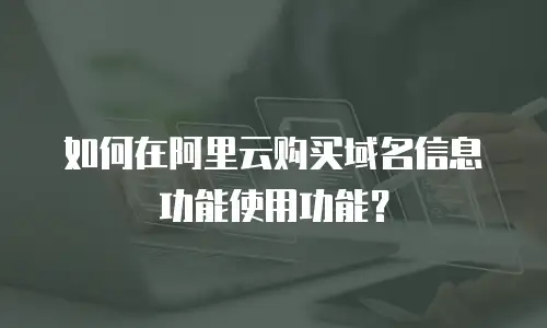 如何在阿里云购买域名信息功能使用功能？