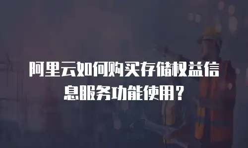 阿里云如何购买存储权益信息服务功能使用？