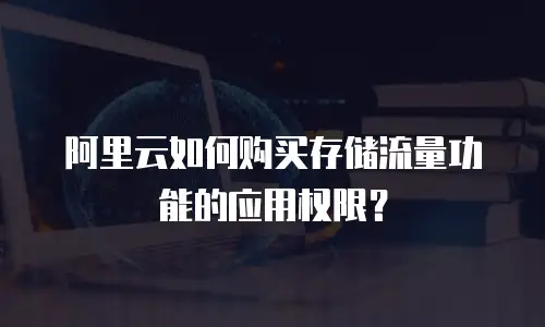 阿里云如何购买存储流量功能的应用权限？