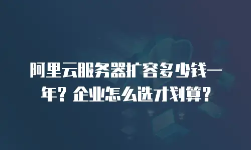 阿里云服务器扩容多少钱一年？企业怎么选才划算？