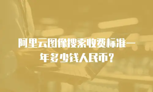 阿里云图像搜索收费标准一年多少钱人民币？