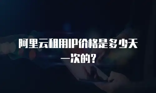 阿里云租用IP价格是多少天一次的？