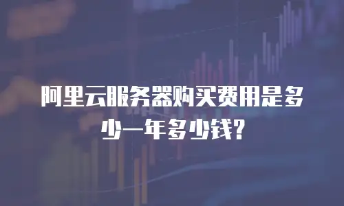 阿里云服务器购买费用是多少一年多少钱？