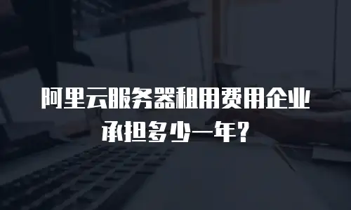 阿里云服务器租用费用企业承担多少一年？