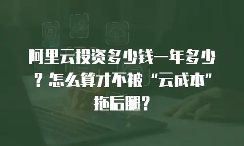 阿里云投资多少钱一年多少？怎么算才不被“云成本”拖后腿？