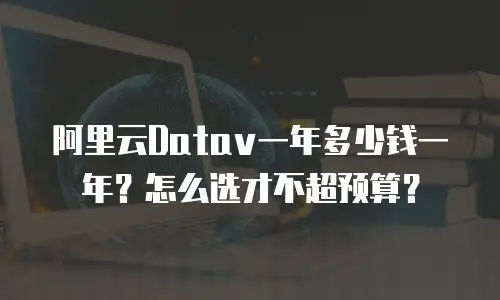 阿里云Datav一年多少钱一年？怎么选才不超预算？