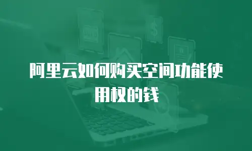 阿里云如何购买空间功能使用权的钱