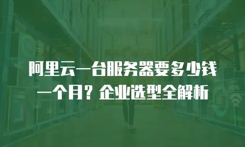 阿里云一台服务器要多少钱一个月？企业选型全解析
