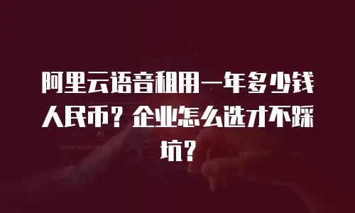 阿里云语音租用一年多少钱人民币？企业怎么选才不踩坑？