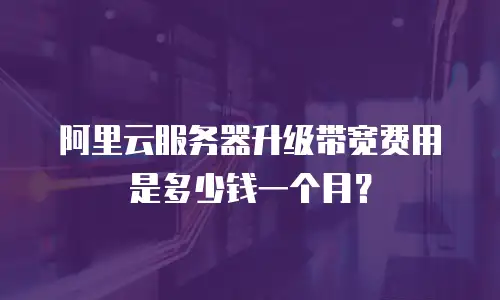 阿里云服务器升级带宽费用是多少钱一个月？