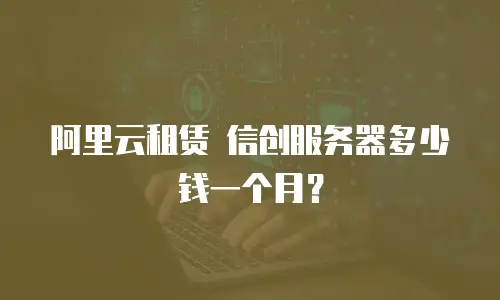 阿里云租赁 信创服务器多少钱一个月？