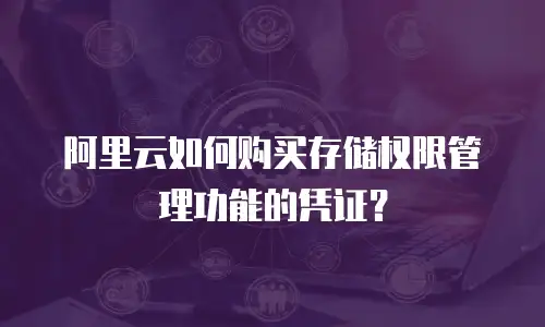 阿里云如何购买存储权限管理功能的凭证？