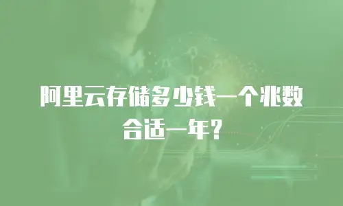 阿里云存储多少钱一个兆数合适一年？
