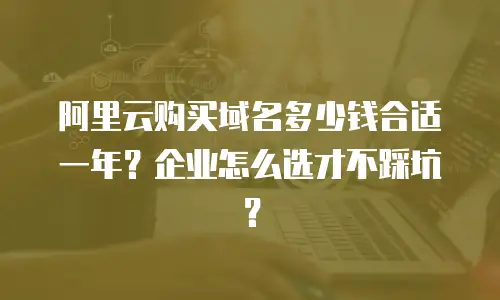 阿里云购买域名多少钱合适一年？企业怎么选才不踩坑？