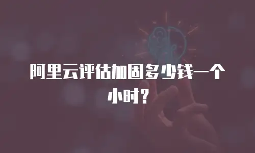 阿里云评估加固多少钱一个小时？
