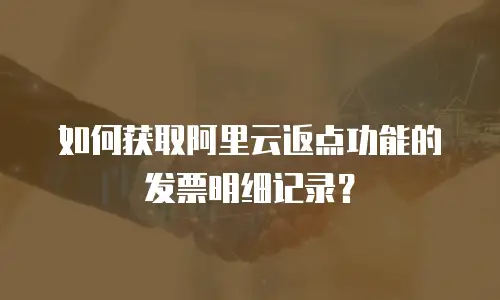 如何获取阿里云返点功能的发票明细记录？