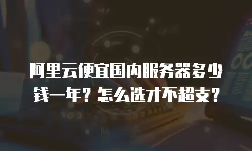 阿里云便宜国内服务器多少钱一年？怎么选才不超支？