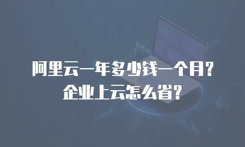 阿里云一年多少钱一个月？企业上云怎么省？