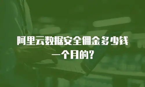 阿里云数据安全佣金多少钱一个月的？