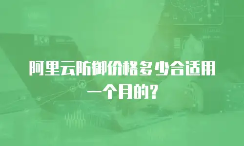 阿里云防御价格多少合适用一个月的？
