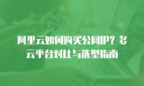 阿里云如何购买公网IP？多云平台对比与选型指南